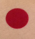 رژلب جامد پرو