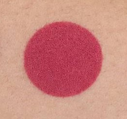 رژلب جامد پرو