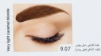 رنگ ابرو لیدی