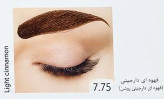 رنگ ابرو لیدی