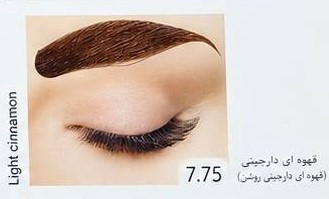 رنگ ابرو لیدی